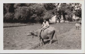 Indonesia Farmer Riding An Ox Java Vintage RPPC C080