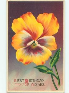 Divided-Back BEAUTIFUL FLOWERS SCENE Great Postcard AA3238