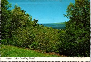 VINTAGE CONTINENTAL SIZE POSTCARD VIEW OF SENECA LAKE LOOKING NORTH