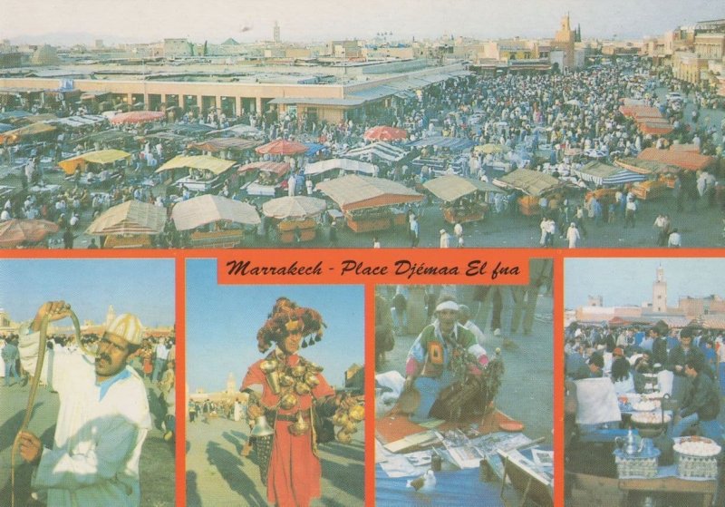 Marrakech Snake Charmer In Mouth Markets Morocco Africa Postcard