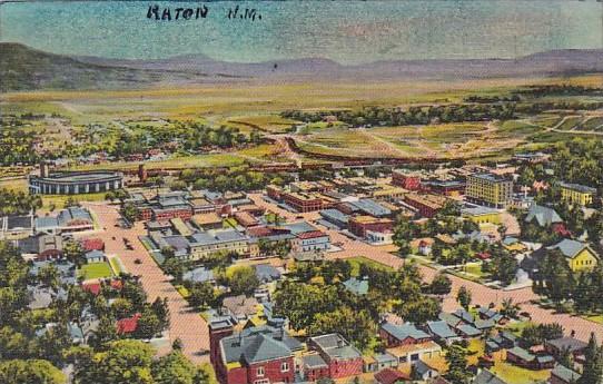 New Mexico Raton Birds Eye View From Goat Hill Curteich