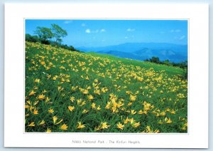 Nikko National Park The Kirifuri Heights JAPAN 4x6 Postcard