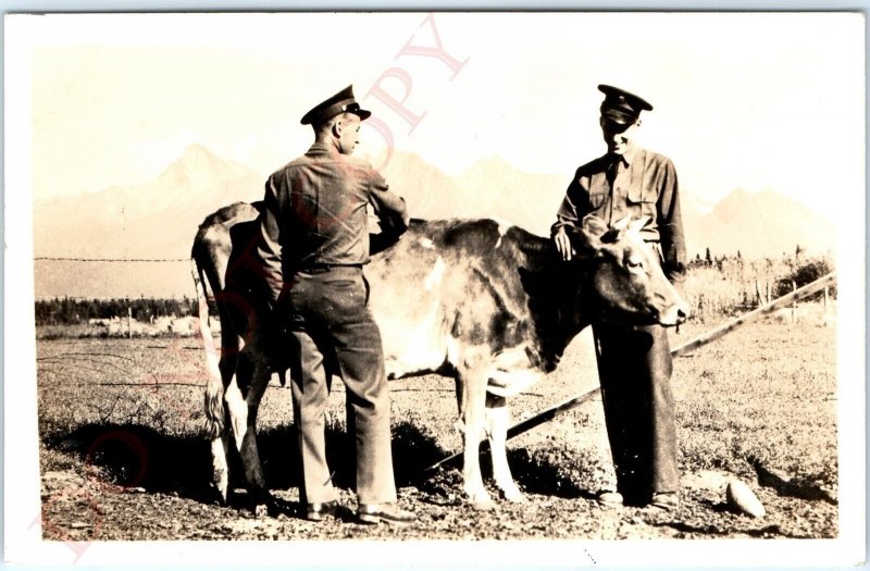 c1940s Military Men Pet Cow RPPC Army Soldier Marine Real Photo Postcard A120