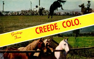 Colorado Greetings From Creede Rodeo Scene