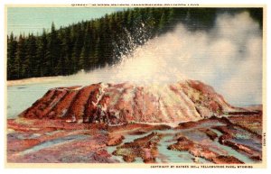 Wyoming Yellowstone Park   Sponge Geyser