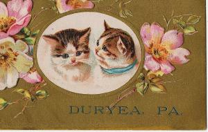 1907 Greetings From Duryea PA Pittston Luzerne Cats Kittens Embossed DB Postcard