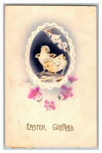 Easter Greetings Vintage Standard View Postcard Chicks