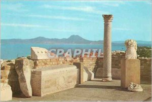 Postcard Modern Carthage Antiquarium