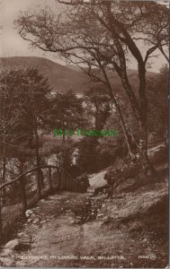 Scotland Postcard - Ballater, Entrance To Lovers Walk RS34069