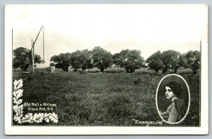Old Well & Willows  Grand Pre  Nova Scotia  Canada  Evangeline  Postcard c1905