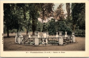 Fontainebleau Bassin Diane Antique Postcard DB UNP Unused Carte Postale 