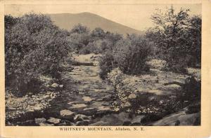 Allaben New York Whitneys Mountain Scenic View Antique Postcard K27619