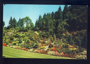 Victoria, British Columbia/B.C., Canada Postcard, The Butchart Gardens