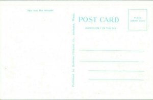 Lake Coeur D Alene Idaho Postcard