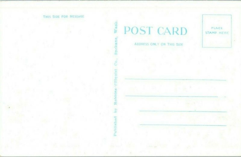 Lake Coeur D Alene Idaho Postcard