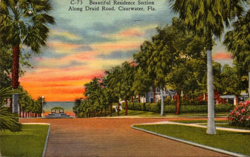 Florida Clearwater Beautiful Residence Section Along Druid Road 1964 Curteich