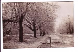 Real Photo, Aftermath of an Ice Storm, Broken Tree Limbs REGAL, 1909-1910