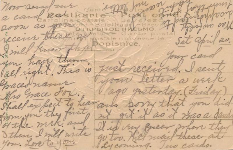 Rose Flower Greetings from Scriba, Oswego County NY, New York - DB