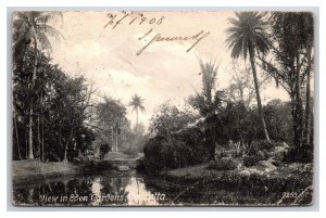 View in Eden Gardens Calcutta India UDB Postcard Y17