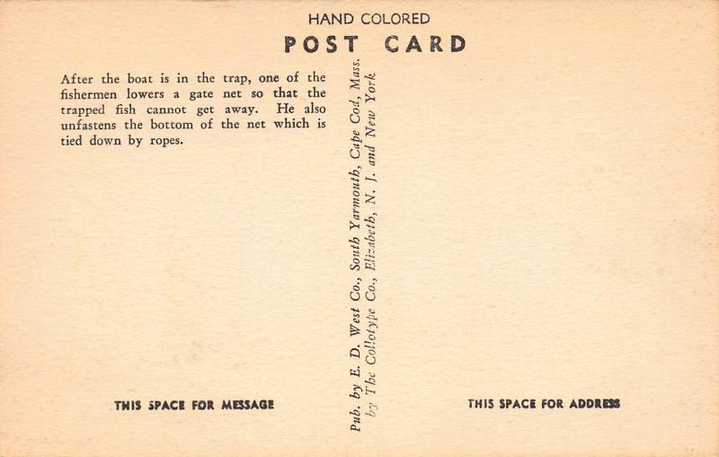 Fish Traps, Cape Cod, Massachusetts, Early Hand Colored Postcard, Unused