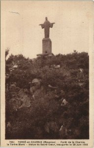 CPA TORCÉ-en-CHARNIE - Foret de la Charnie le tertre Blanc (123257)