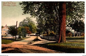 Connecticut Brooklyn Wolf Den Drive