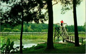 Bird City Jungle Gardens Avery Island Louisiana LA UNP Chrome Postcard E11