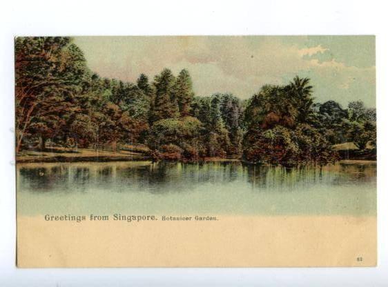 147142 SINGAPORE Botanic Garden Vintage undivided back pc