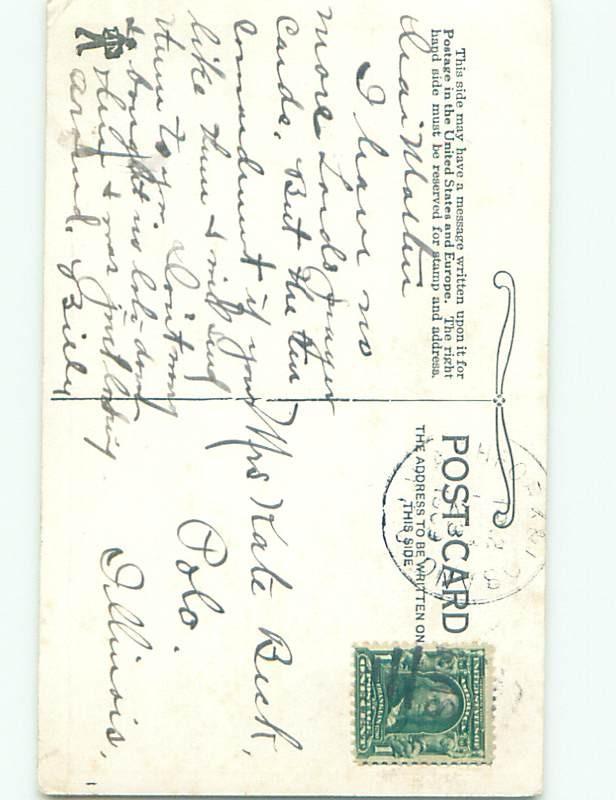 Divided-Back DOG SCENE Great Postcard AA9325