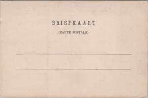 Netherlands Sint Annaparochie Vintage Postcard C339