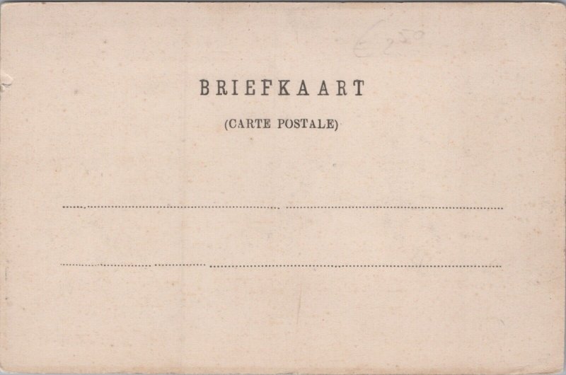 Netherlands Sint Annaparochie Vintage Postcard C339