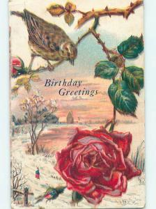 Divided-Back birthday CUTE BIRD ON BRANCH & RED ROSE FLOWER o9824