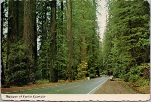 Elk Creek & Boiling Grove Avenue Of The Giants CA California c1976 Postcard D51