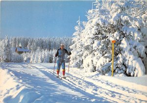 US89 Germany Langlauf Paradies Bayersucher wald cross country ski