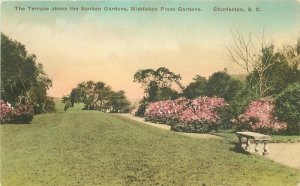 Albertype Charleston South Carolina Sunken Gardens Middleton Postcard 20-9126