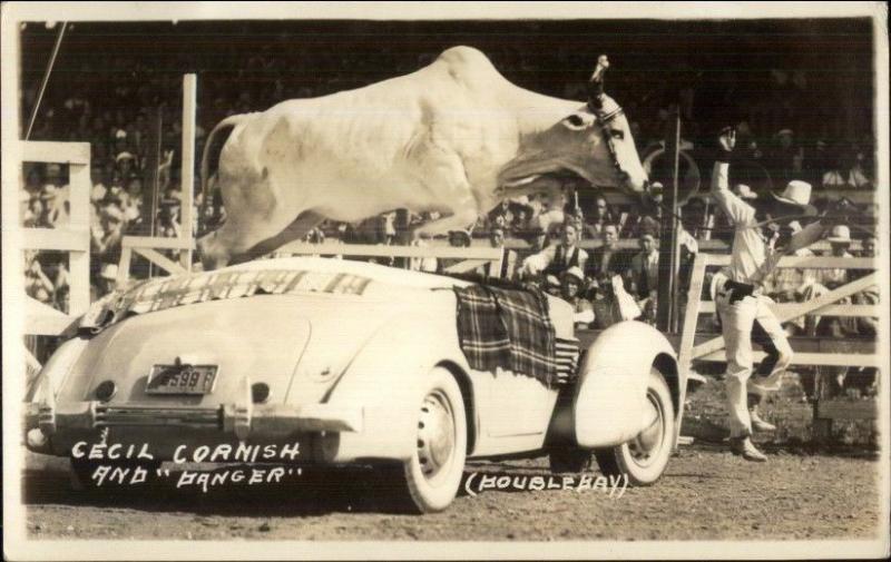 Rodeo Act Steer Bull Jumping Over Car Cecil Cornish & Danger RPPC Postcard