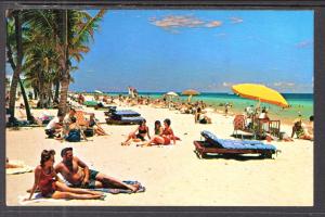 Beach Scene,Hollywood,FL BIN