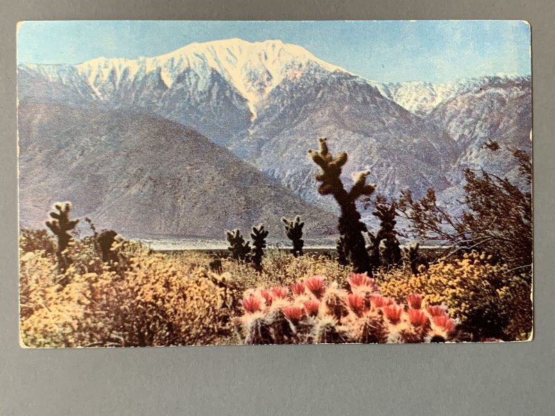 San Jacinto Mountains Near Palm Springs CA Chrome Postcard A1170084935