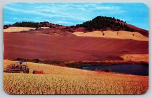 Farming~Air View Wheat Field @ Land of the Palouse Washington~Vintage Postcard