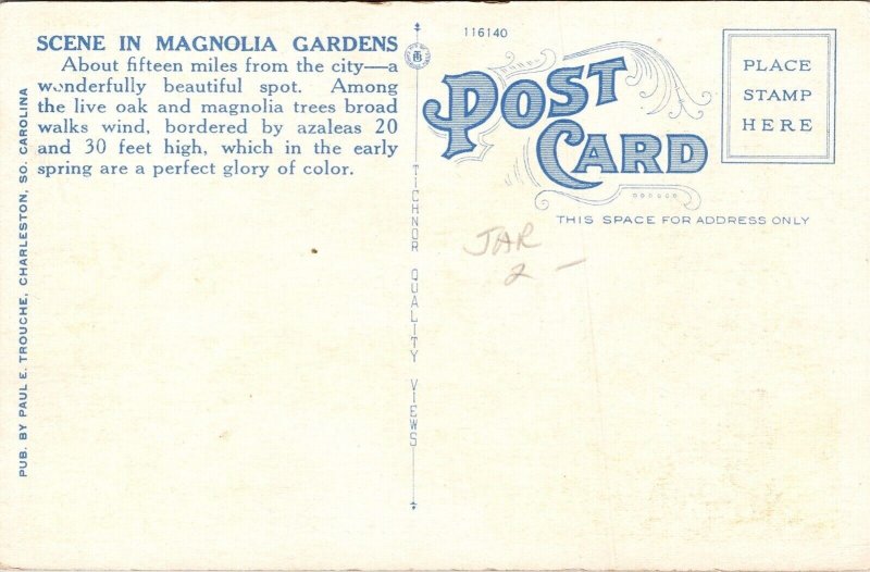 Scene Magnolia Gardens WB Postcard UNP VTG Tichnor Unused Vintage 