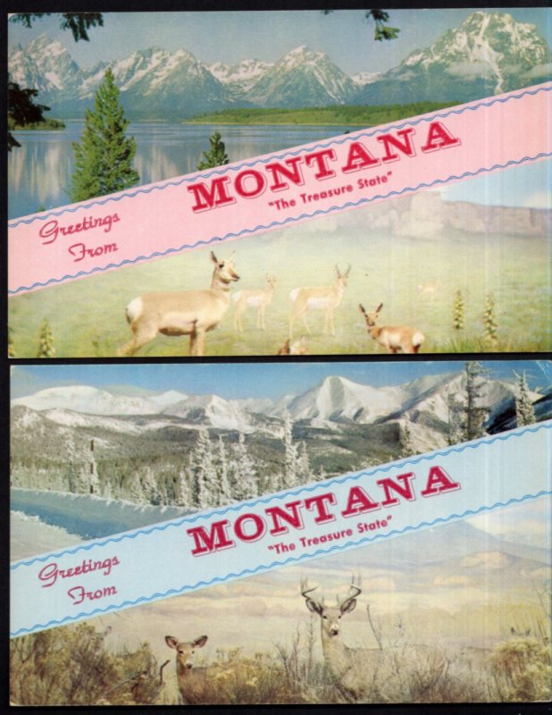 Lot of 2Greetings From Montana The Treasure State - SplitView - Scenery - Chrome