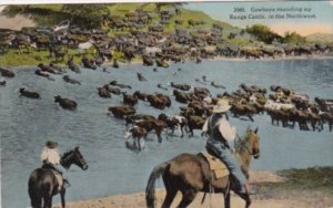 Cowboys Rounding Up Range Cattle In The Northwest