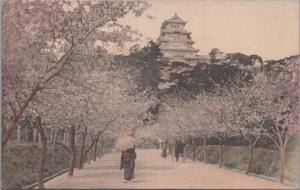 Postcard Himeji Castle Near Kobe Cherry Blossoms Japan