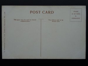 Suffolk Wind Mills ON THE WAVENEY c1905 Postcard by S. Hildesheimer & Co. 5288