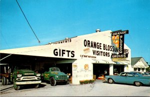 Florida Largo Orange Blossom Groves 1967
