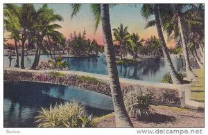 Hand-Colored, Palm Friged  Florida Canal, PU-1939