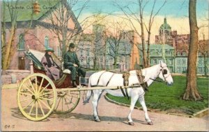 Canada Quebec Caleche Horse Drawn Cart