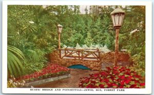 Rustic Bridge and Poinsettias - Jewel Box, Forest Park - St. Louis, Missouri