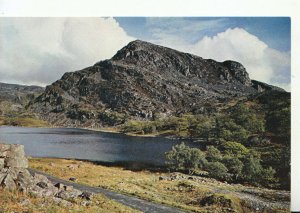 Wales Postcard - Llyn Cwm Bychan - Near Llanbedr - Merionethshire - Ref TZ8693