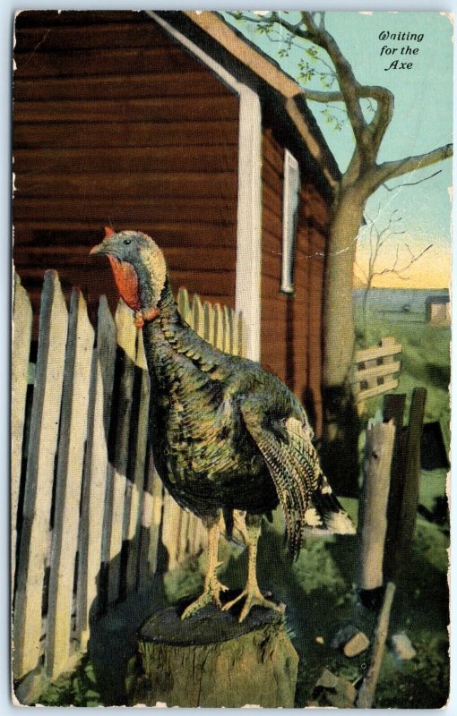 c1910s Cute Turkey Waiting for the Axe Postcard Behead Butcher Thanksgiving A90